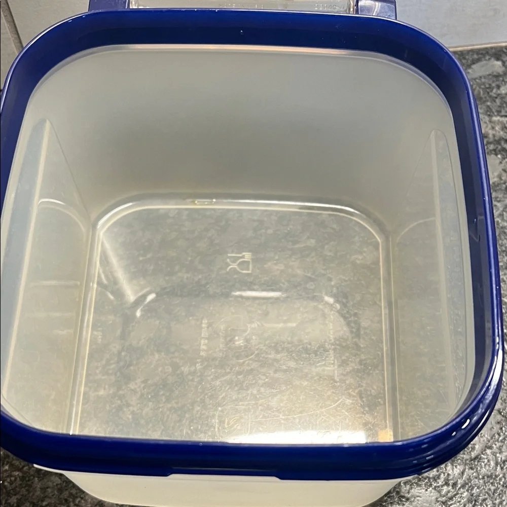 Vintage Tupperware with flip lid. Clear and Blue Storage Container. 11 cups